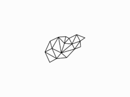 radical logo wireframe