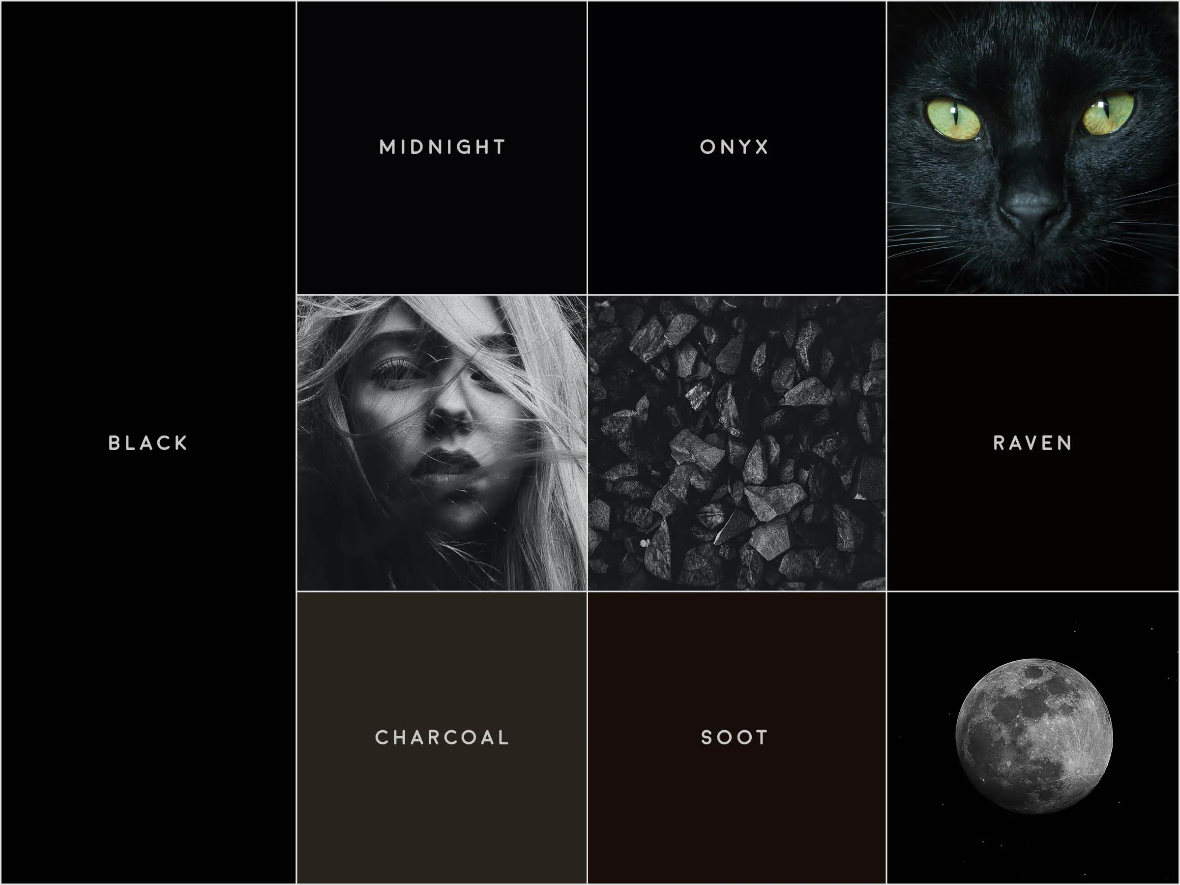 A gridded image with various tones of black, and small photographs of a cat, a black and white female portrait, coal, and the moon