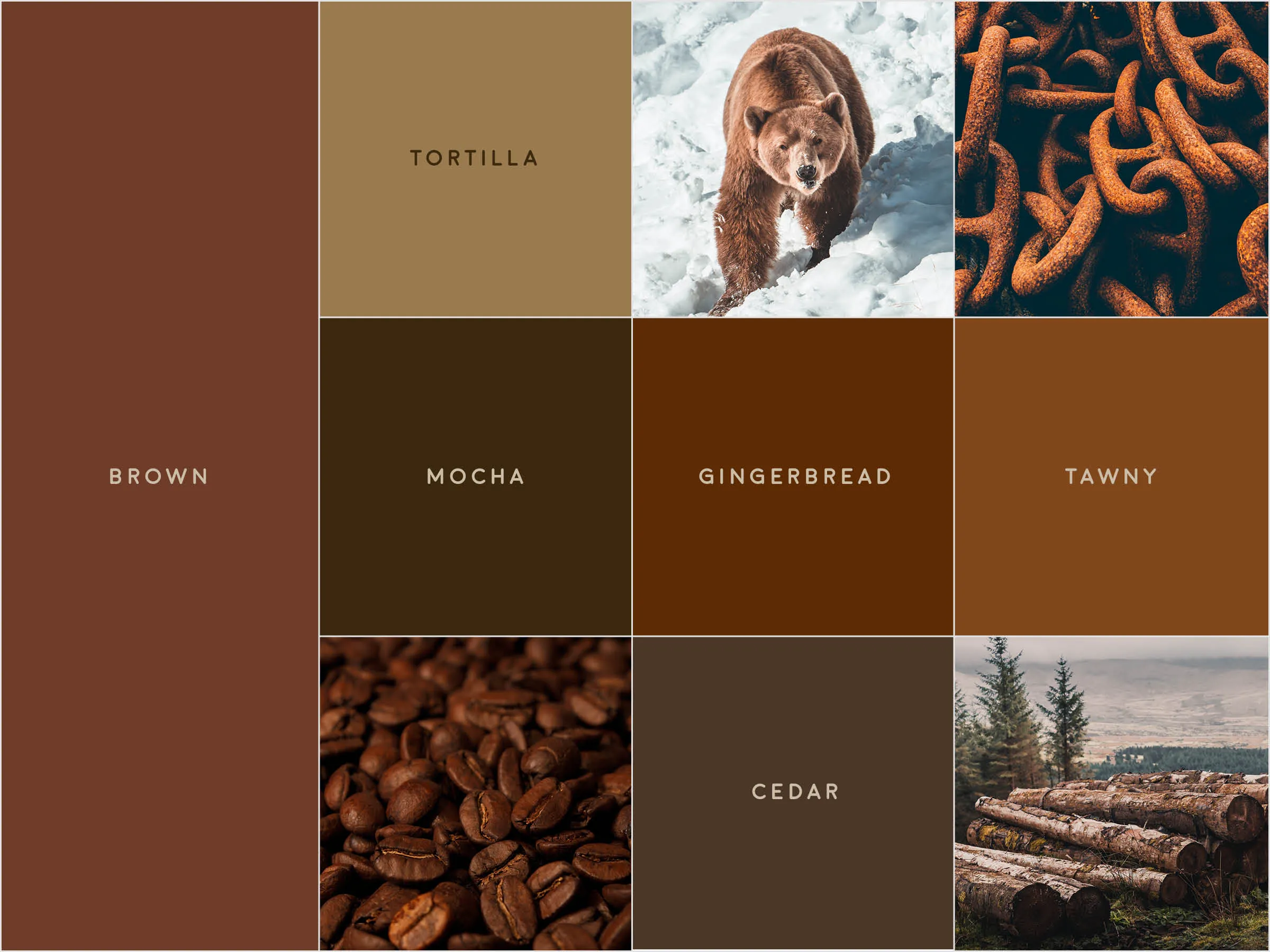 A gridded image with various tones of brown, and small photographs of a bear, rust, coffee beans, and logged timber
