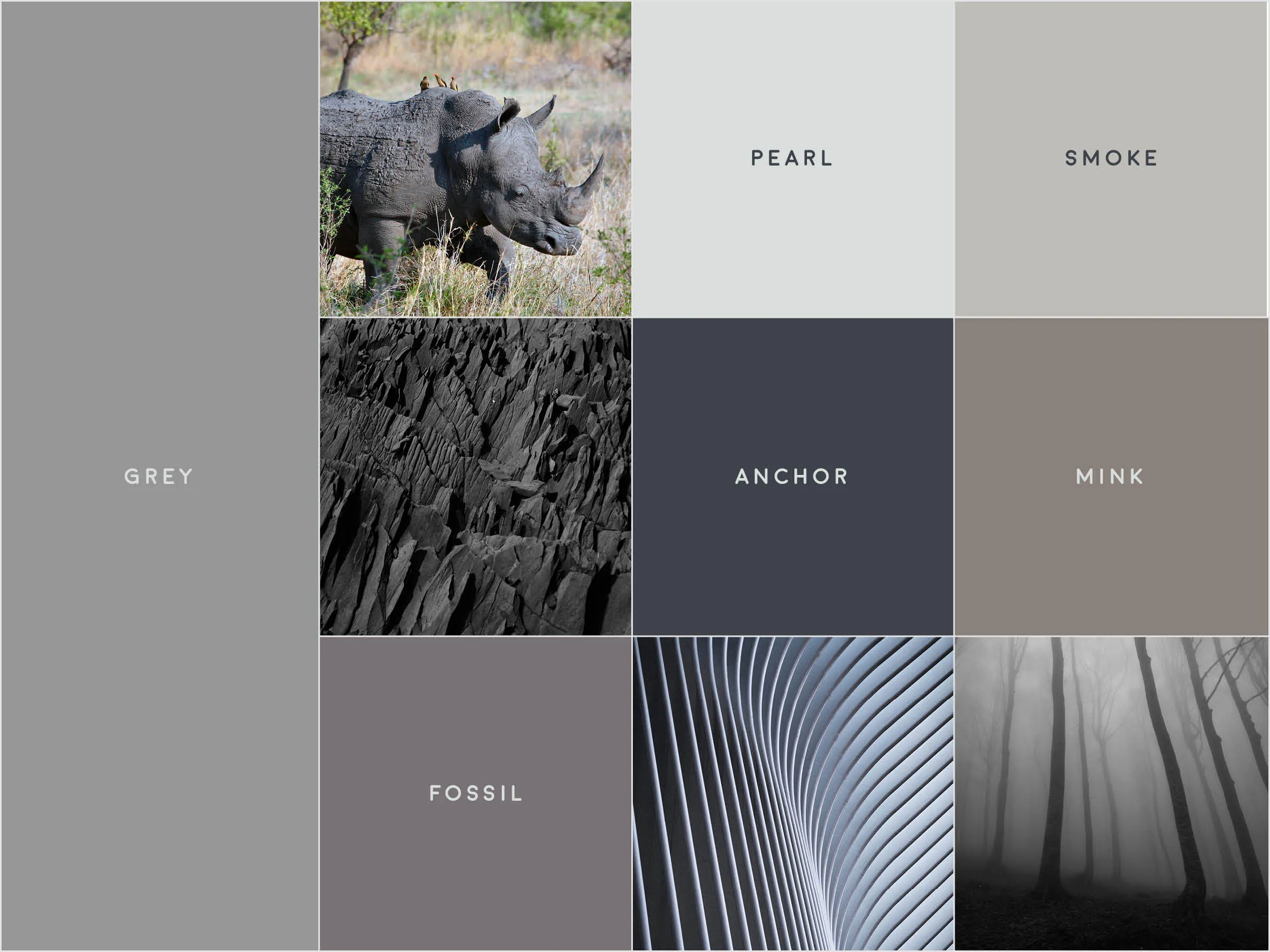A gridded image with various tones of grey, with small photographs of a rhinoceros, slate, a misty forest, and a detail of modern architecture