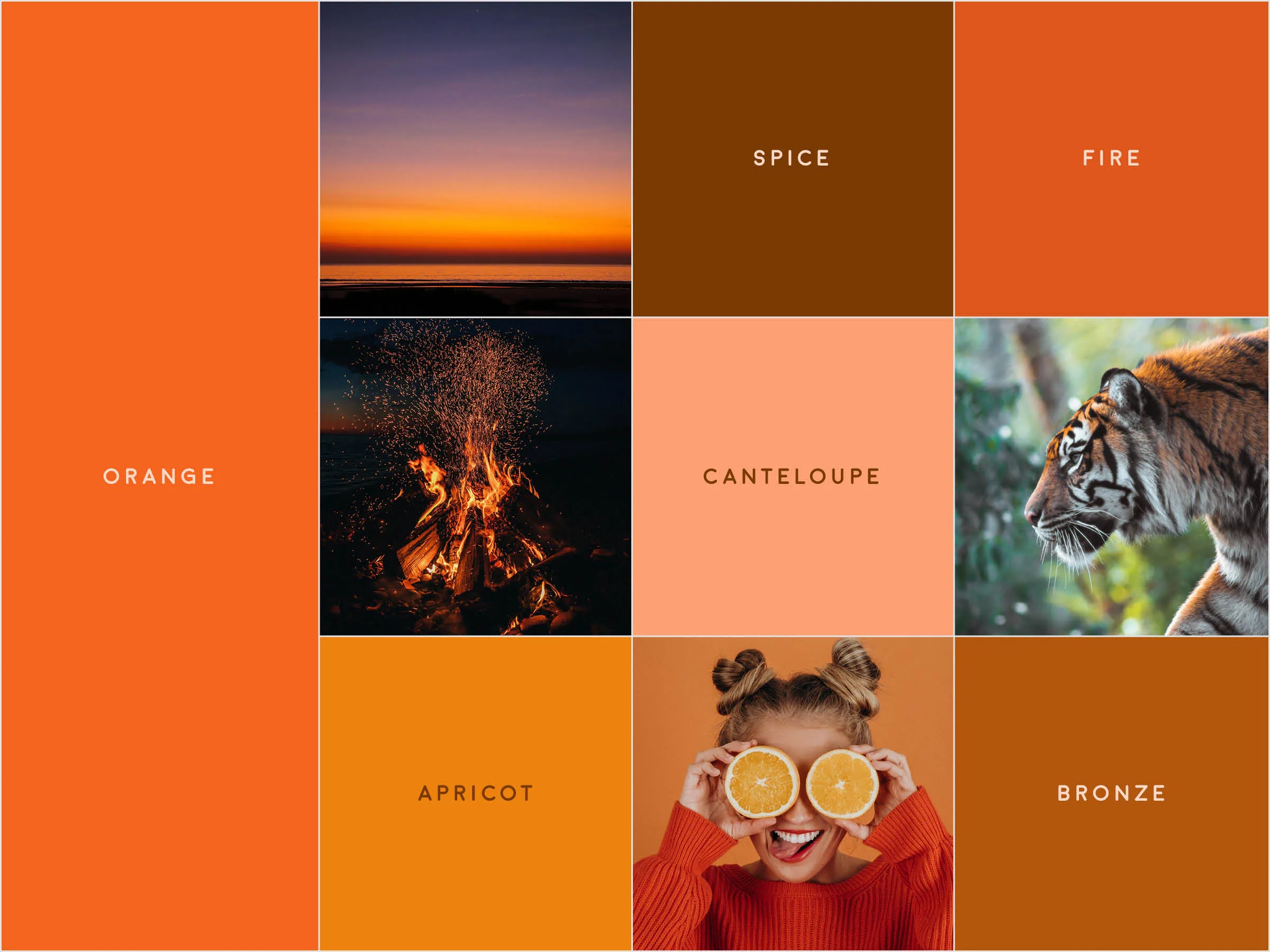 A gridded image with various tones of orange, with small photographs of a sunset, a bonfire, a tiger, and the orange fruit