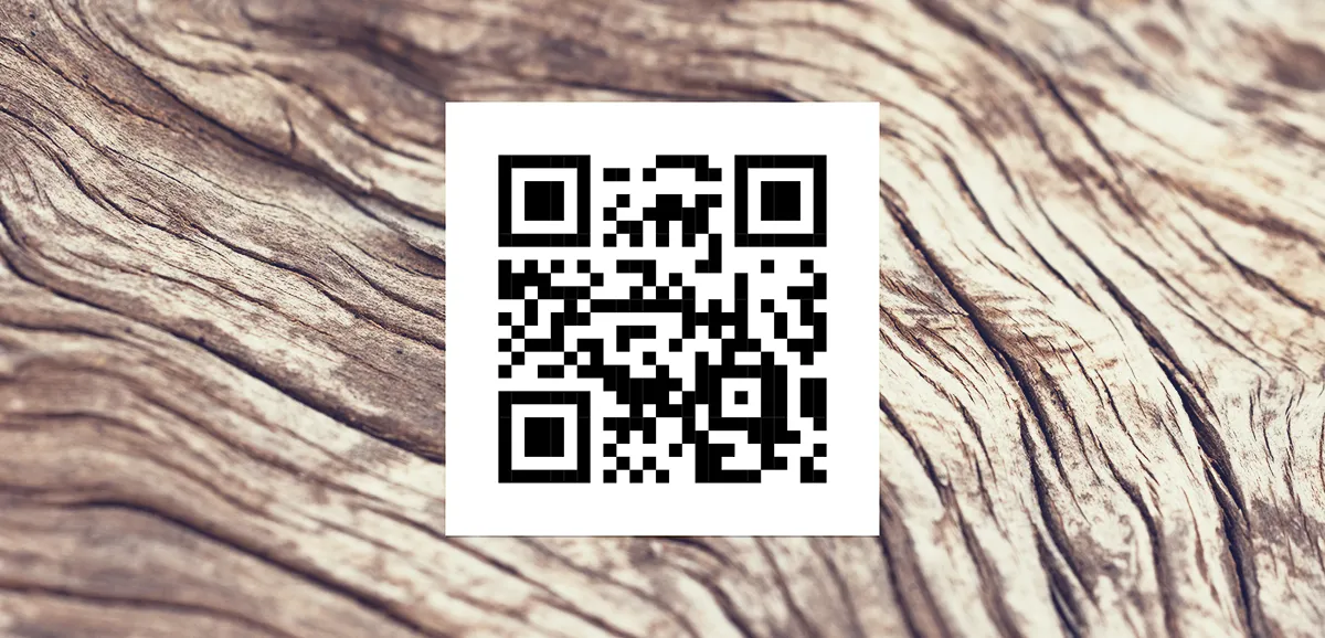 an example of a qr code 