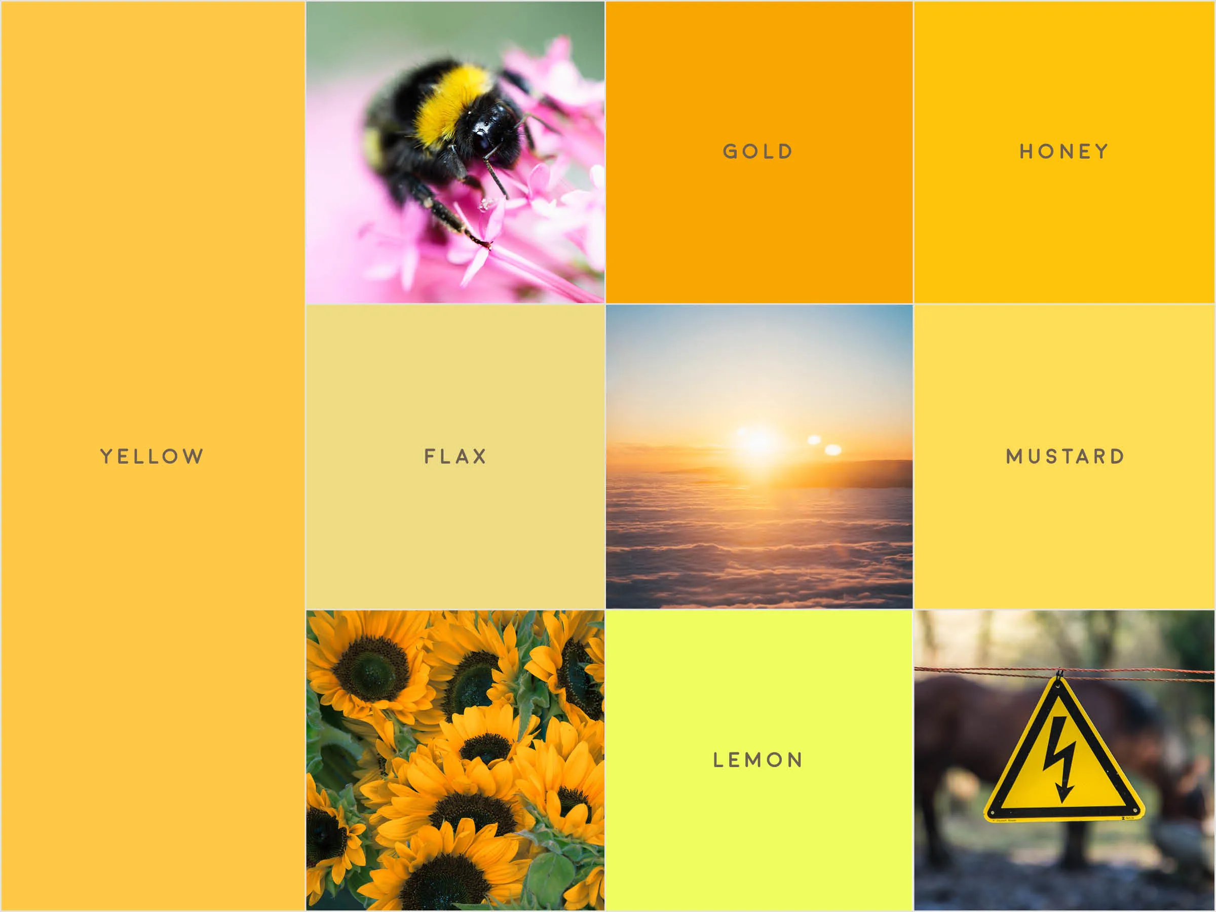 A gridded image with various tones of yellow, and small photographs of a bee, sunflowers, a hazard sign, and a sunset