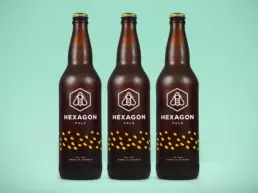 three hexagon bottles of beer showing the label desgn