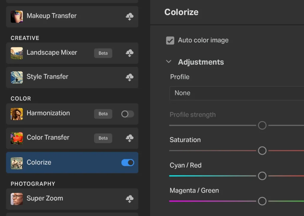 a detail of the colorize neural filter window