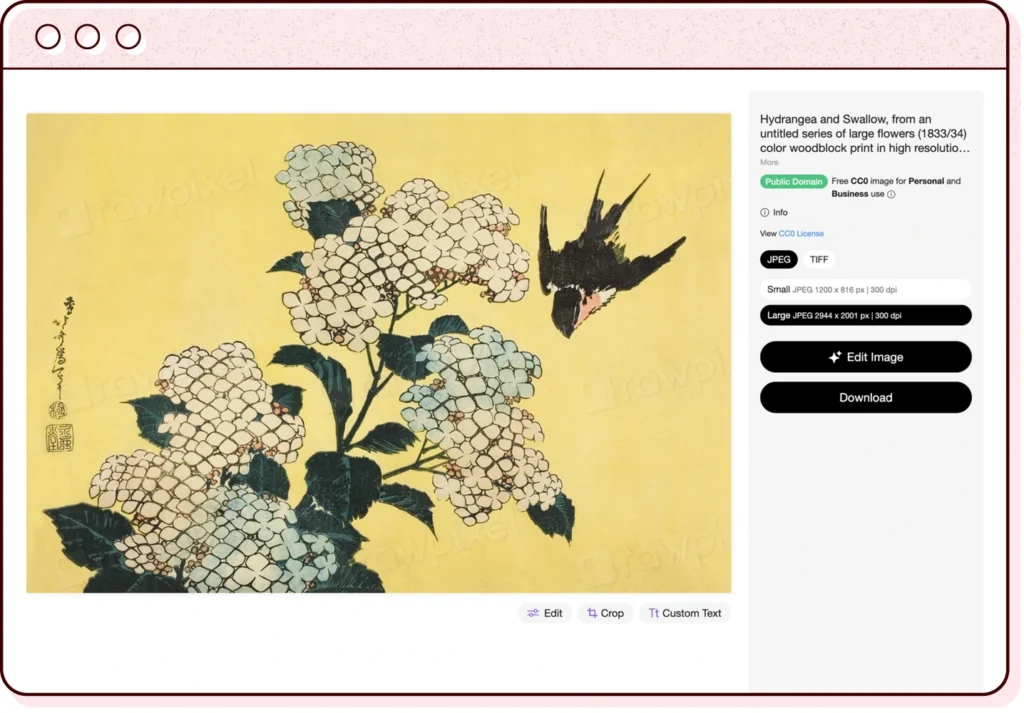 a browser window illustration featuring a screenshot of a hokusai image on the raw pixel website