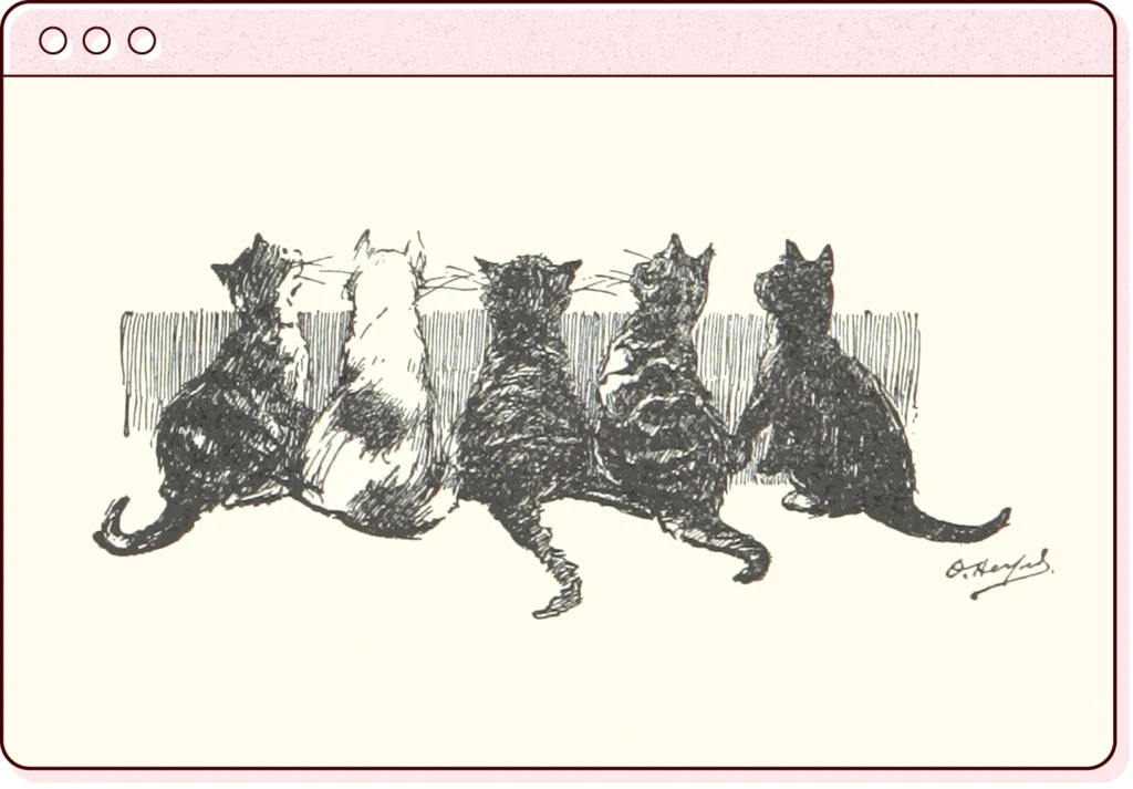 a browser window illustration featuring a screenshot of from the cats sub section of the british library flickr feed